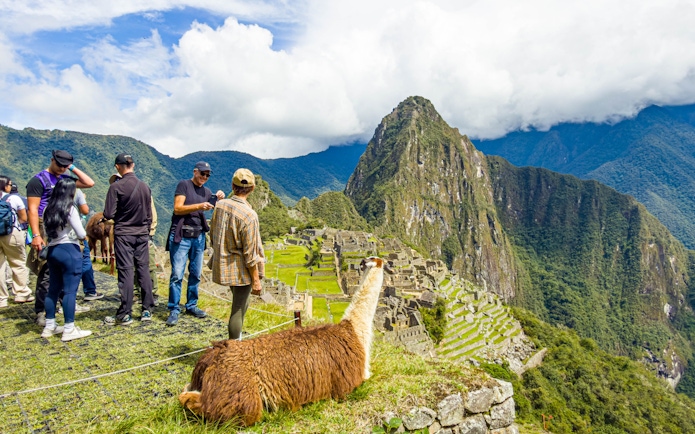 Tourists exploring Machu Picchu with a llama in the foreground, Peru.