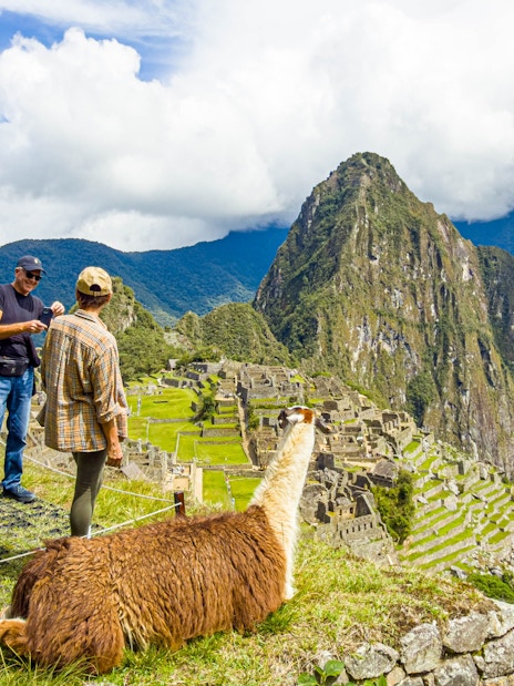 Tourists exploring Machu Picchu with a llama in the foreground, Peru.
