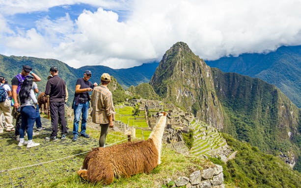 Tourists exploring Machu Picchu with a llama in the foreground, Peru.