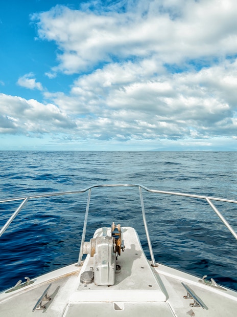 Catamaran sailing in Tenerife waters with whales visible in the distance.