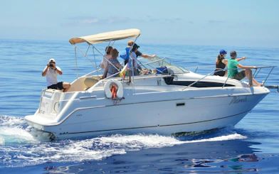 Tourists on a boat during Private Luxury Dolphin & Whale Watching in Madeira.