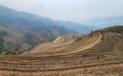 Terraced rice fields in Mu Cang Chai, Vietnam, viewed during a private car tour.