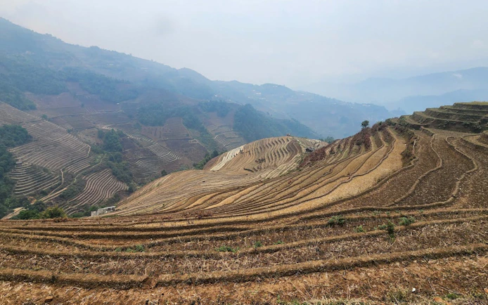 Terraced rice fields in Mu Cang Chai, Vietnam, viewed during a private car tour.
