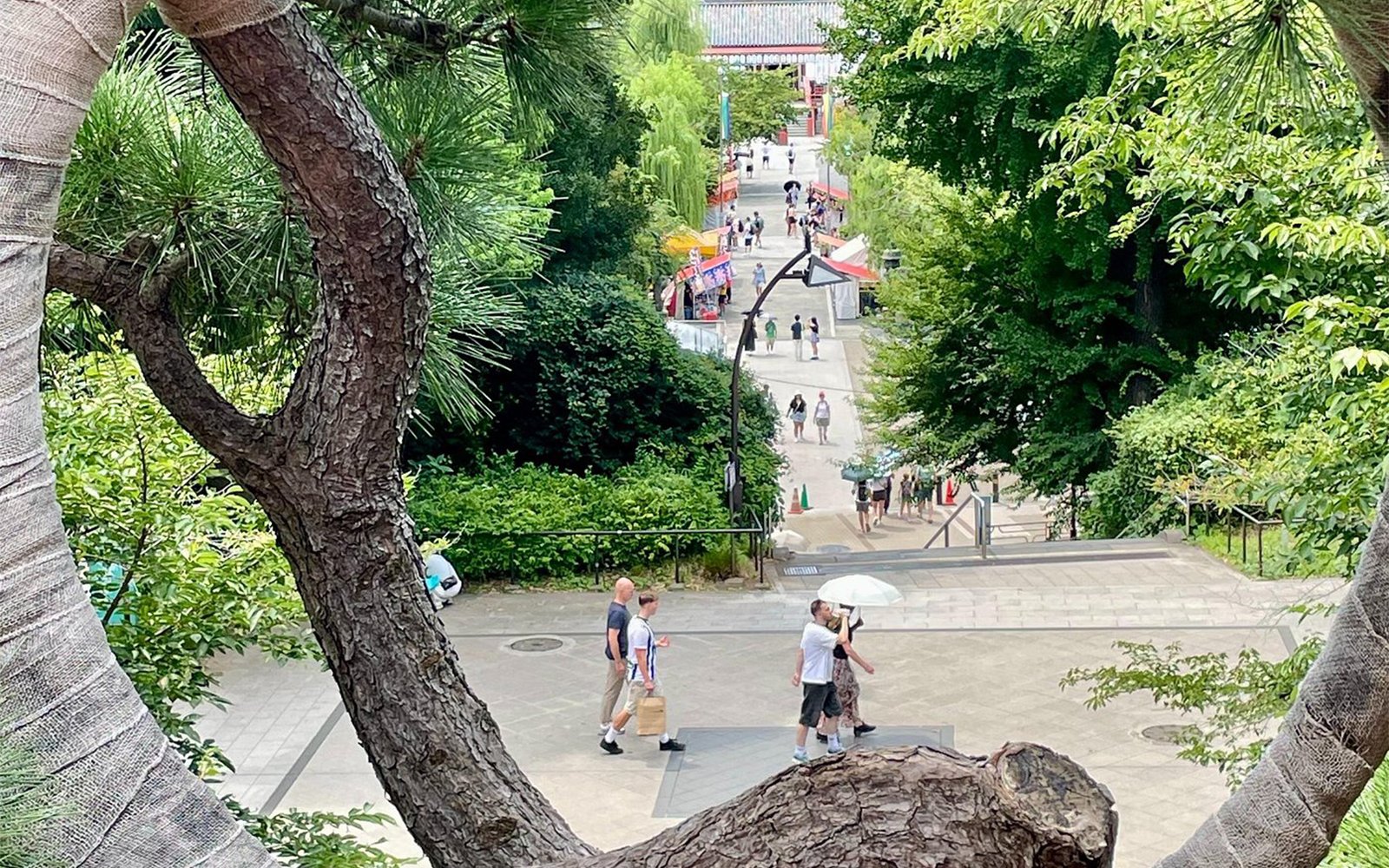 Visitors walking through Ueno Park towards Tokyo National Museum on a private tour.