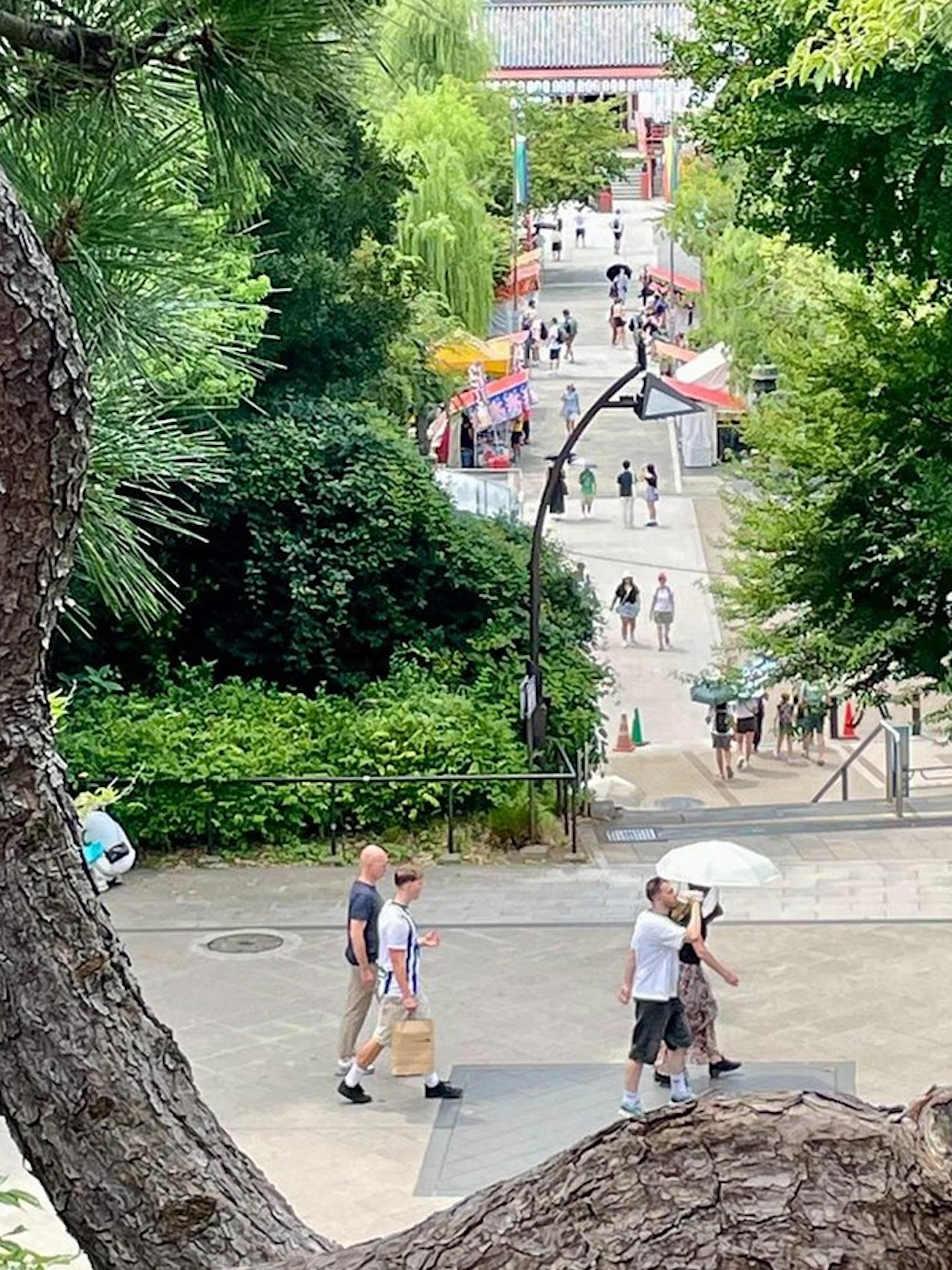 Visitors walking through Ueno Park towards Tokyo National Museum on a private tour.