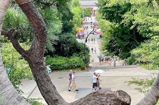 Ueno Park & Tokyo National Museum Private Tour