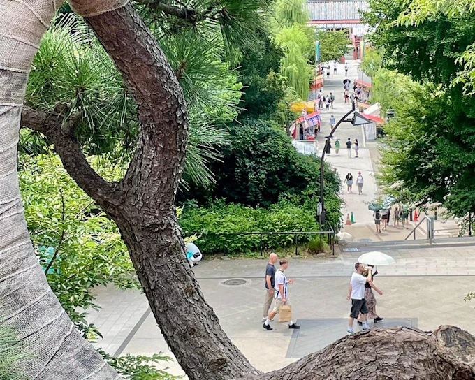 Ueno Park & Tokyo National Museum Private Tour