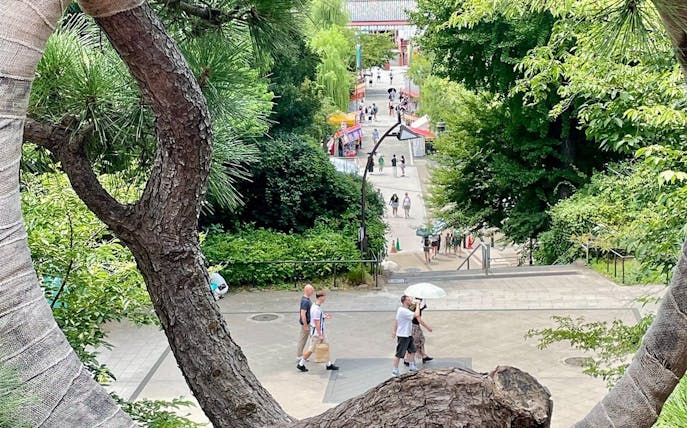 Visitors walking through Ueno Park towards Tokyo National Museum on a private tour.