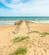 Branksome Chine