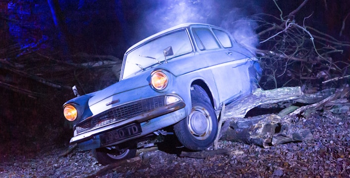 Harry Potter Forbidden Forest Experience