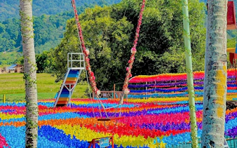 Colorful pinwheel field with swing at De Windmill Selfie Park.
