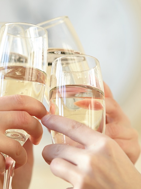 Guests toasting with champagne on Full Day Catamaran Cruise with Blue Cave visit.