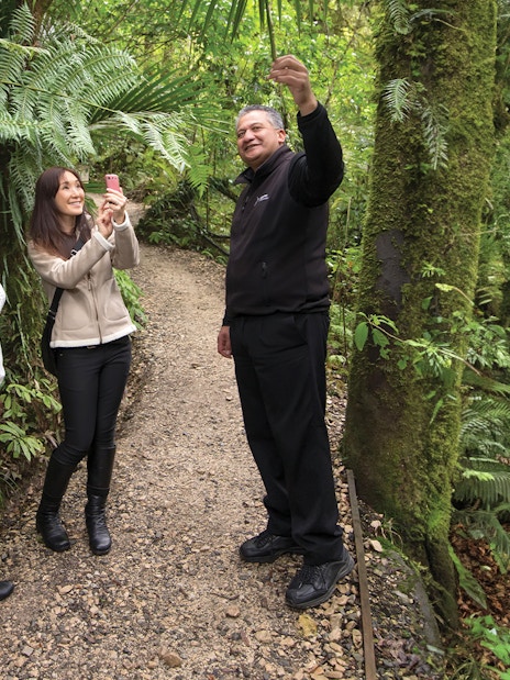 Guide explaining flora to tourists on Aranui Cave Guided Tour trail.