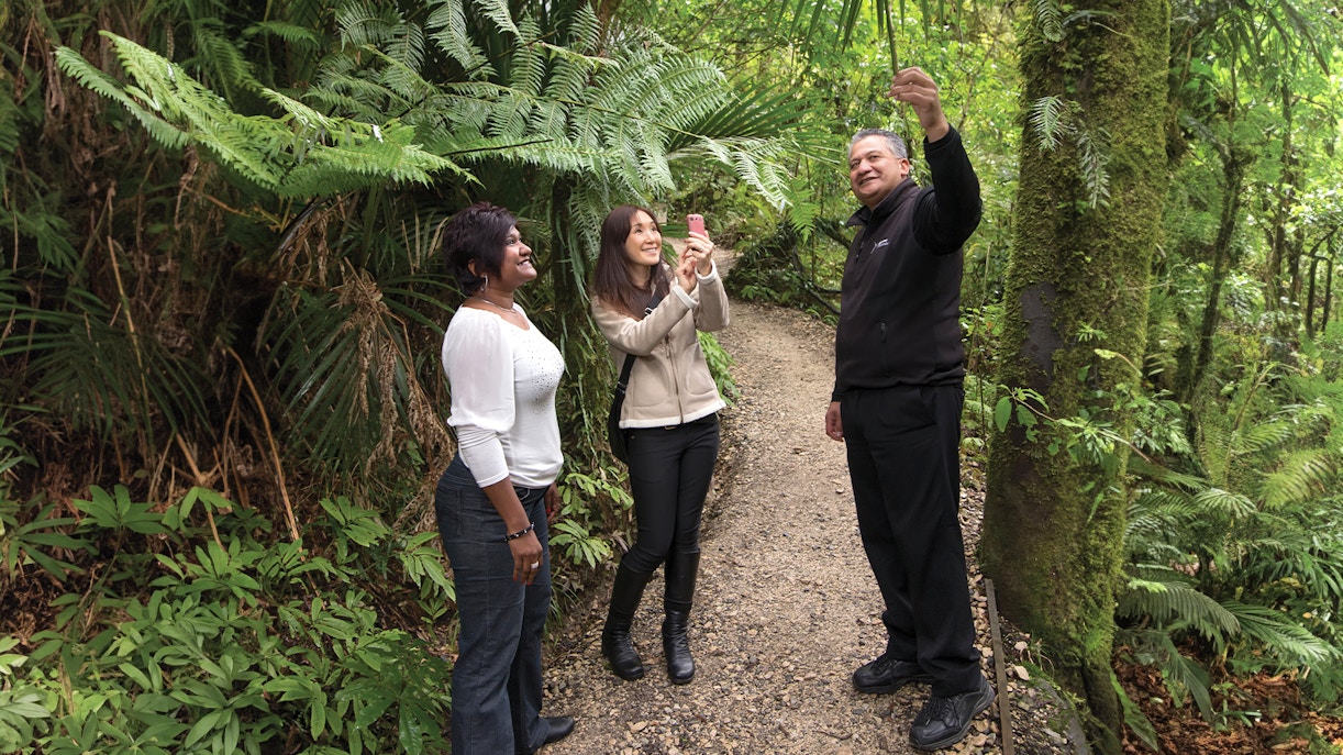 Guide explaining flora to tourists on Aranui Cave Guided Tour trail.