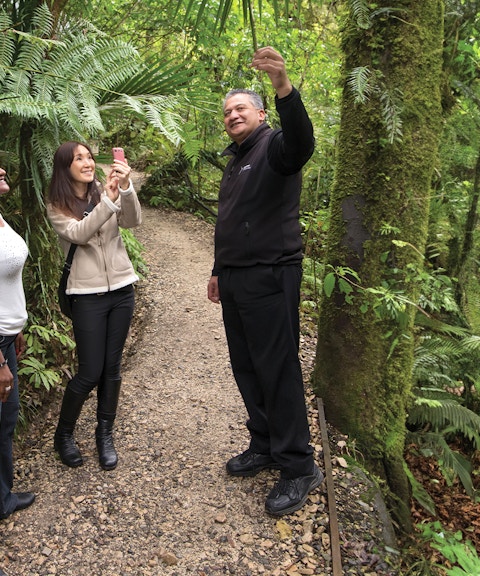 Guide explaining flora to tourists on Aranui Cave Guided Tour trail.