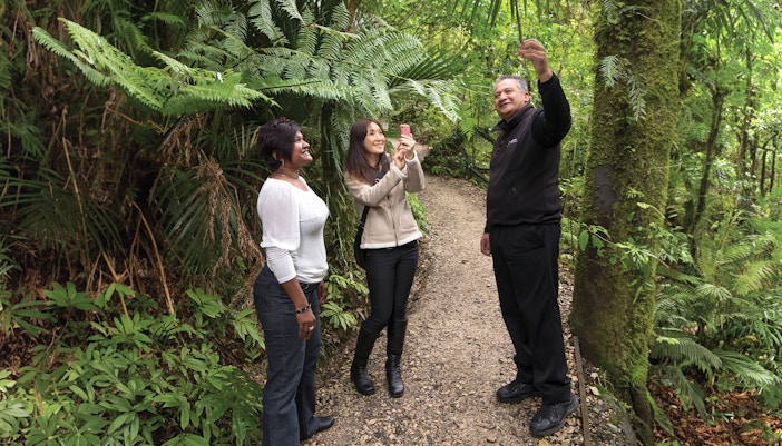 Guide explaining flora to tourists on Aranui Cave Guided Tour trail.