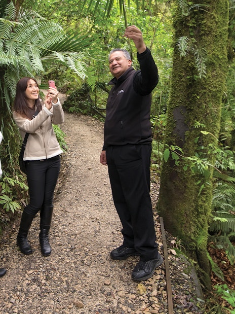 Guide explaining flora to tourists on Aranui Cave Guided Tour trail.