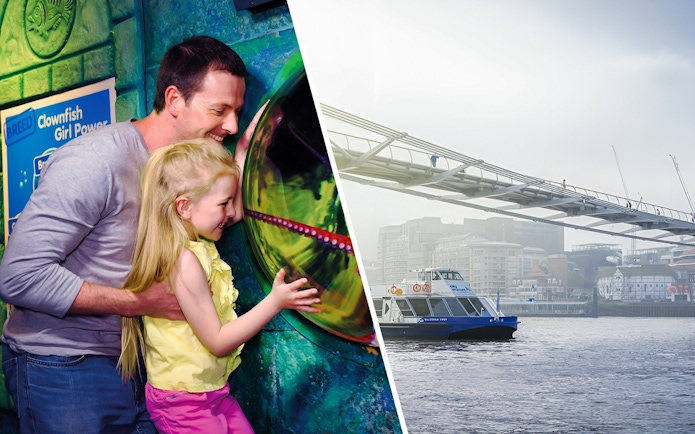 Sightseeing cruise on River Thames passing under Millennium Bridge, London.