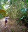 Daintree Rainforest