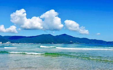 Da Nang Private Afternoon and Evening City Tour: Marble Mountains, Son Tra Peninsula & Dragon Bridge