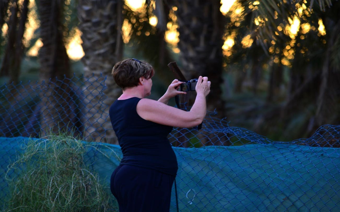 ras al khaimah desert safari with dune bashing, camel ride, sand boarding, and farm visits-2