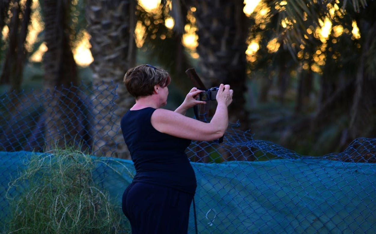 ras al khaimah desert safari with dune bashing, camel ride, sand boarding, and farm visits-2