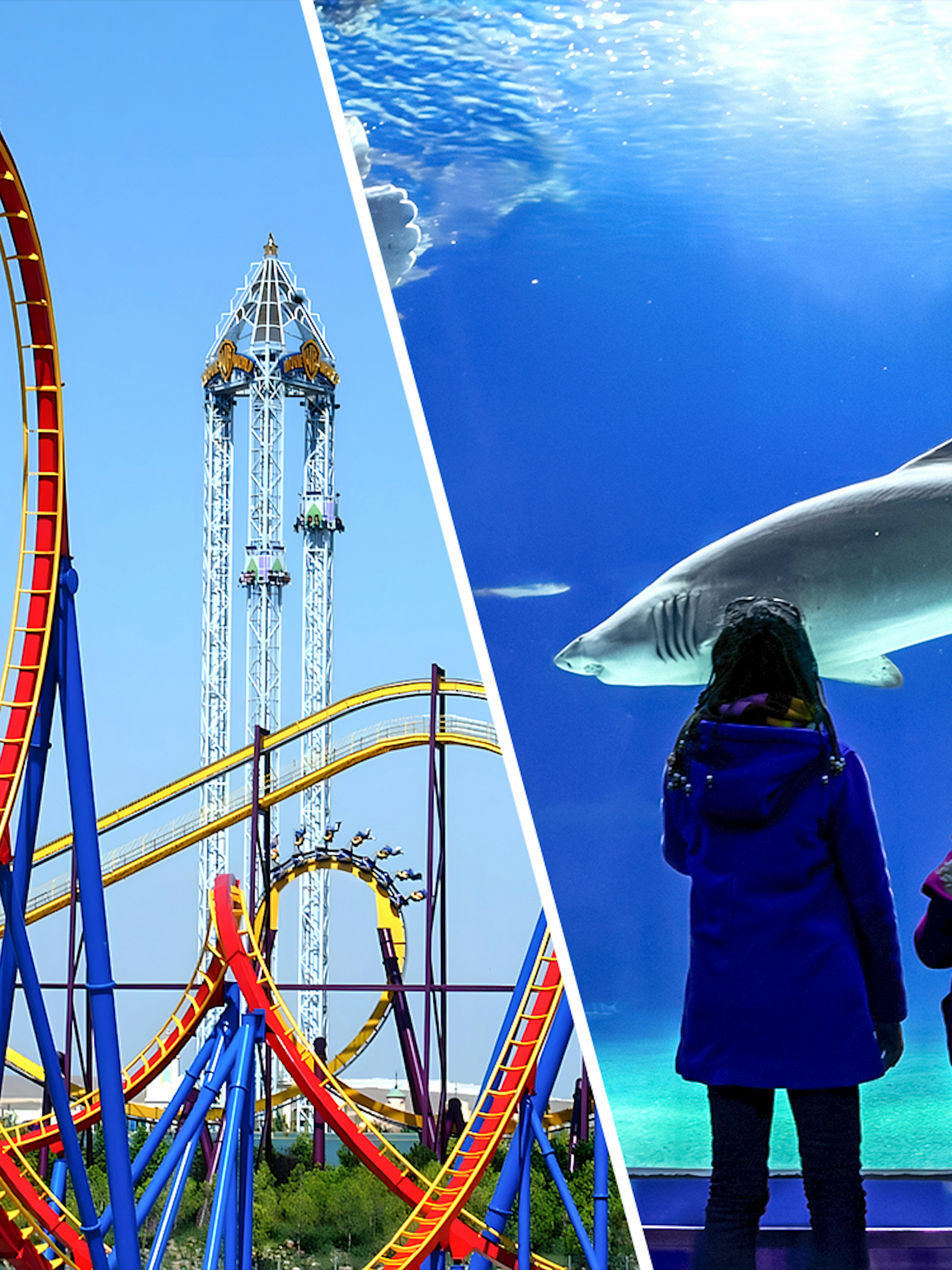 Parque Warner roller coaster and children viewing sharks at Zoo Aquarium Madrid.