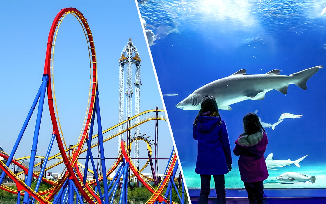 Parque Warner roller coaster and children viewing sharks at Zoo Aquarium Madrid.