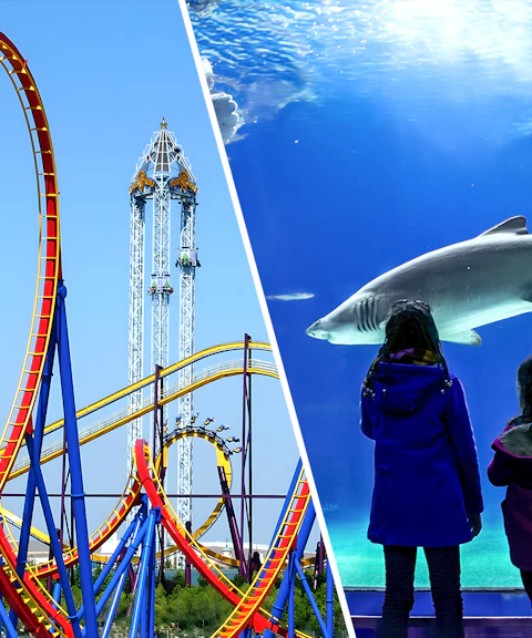 Parque Warner roller coaster and children viewing sharks at Zoo Aquarium Madrid.
