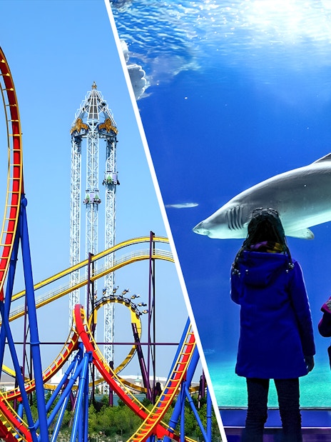 Parque Warner roller coaster and children viewing sharks at Zoo Aquarium Madrid.