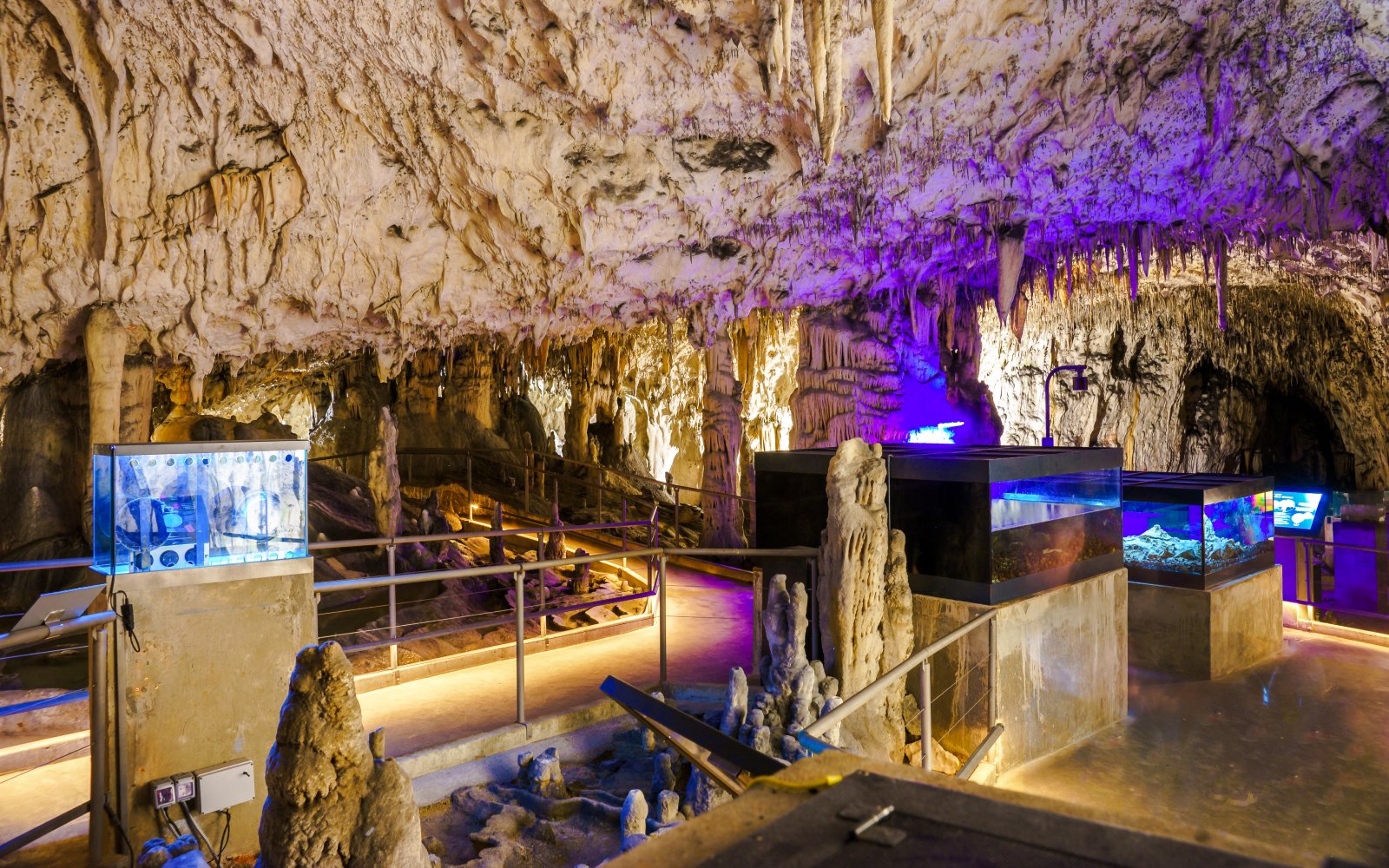 Stalactites and stalagmites inside Postojna Cave, Slovenia, with illuminated pathways and displays.