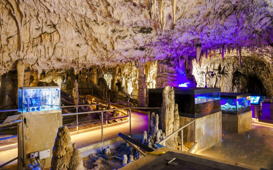 Stalactites and stalagmites inside Postojna Cave, Slovenia, with illuminated pathways and displays.