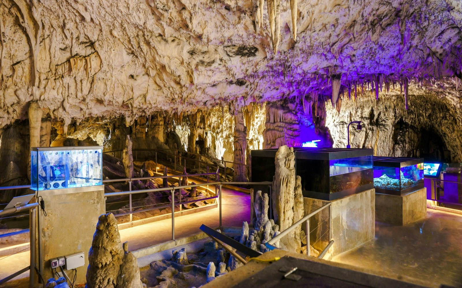 Stalactites and stalagmites inside Postojna Cave, Slovenia, with illuminated pathways and displays.