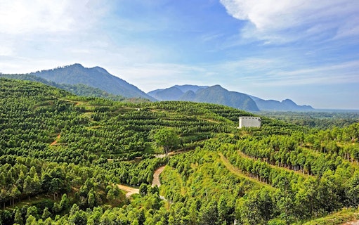 Gaharu Tea Valley landscape with lush green terraces in Gopeng, Perak.