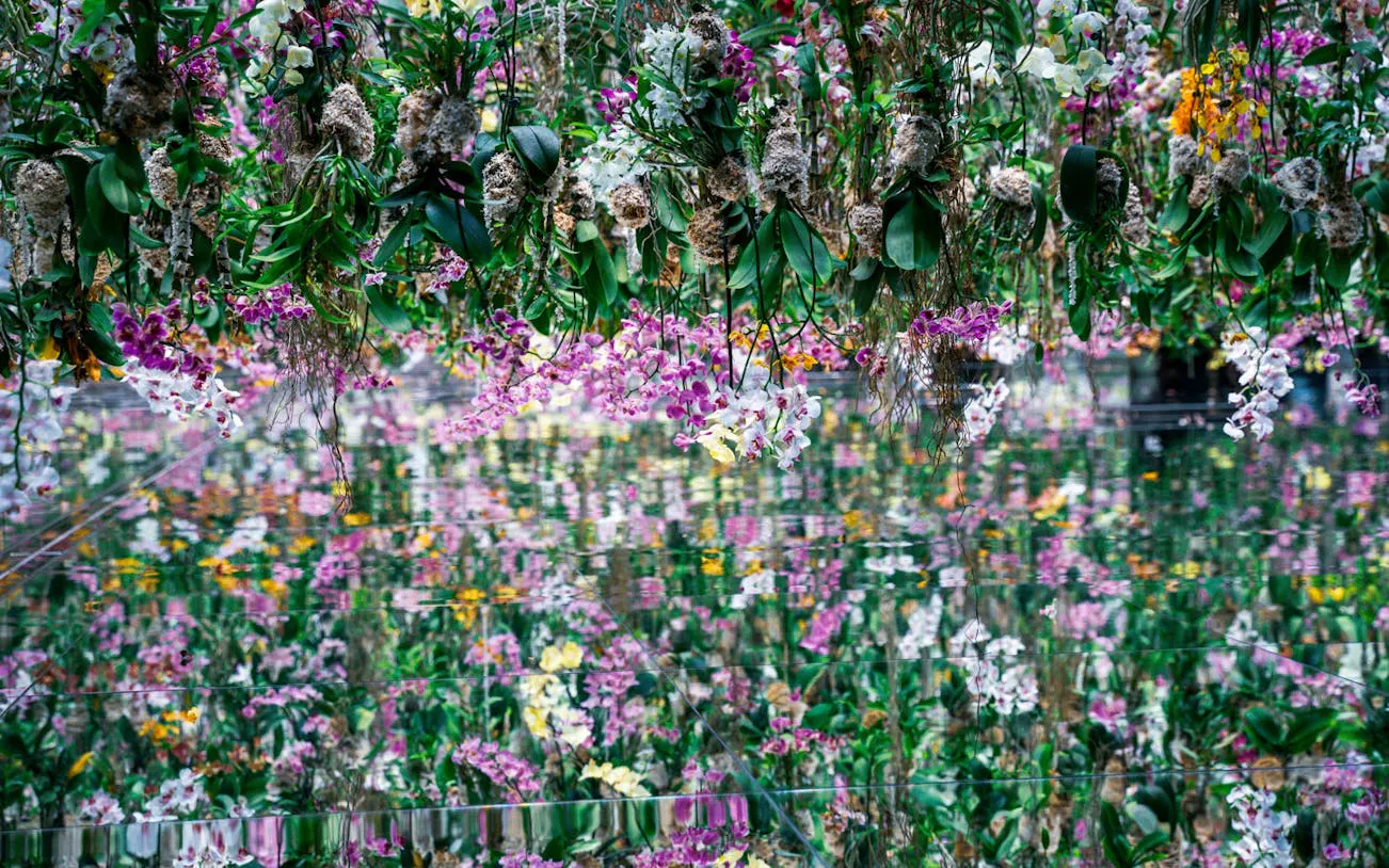 Tokyo: teamLab Borderless Admission and Imperial Palace East Gardens Guided Walking Tour
