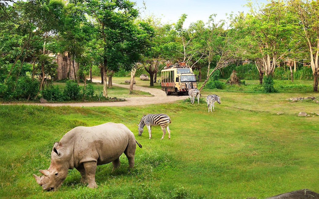 Rhino and zebras grazing near safari bus at Bali Safari & Marine Park.
