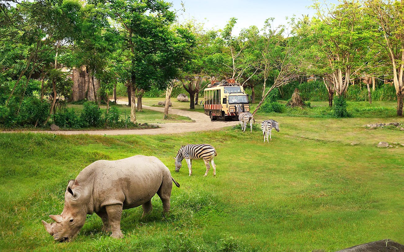 Rhino and zebras grazing near safari bus at Bali Safari & Marine Park.