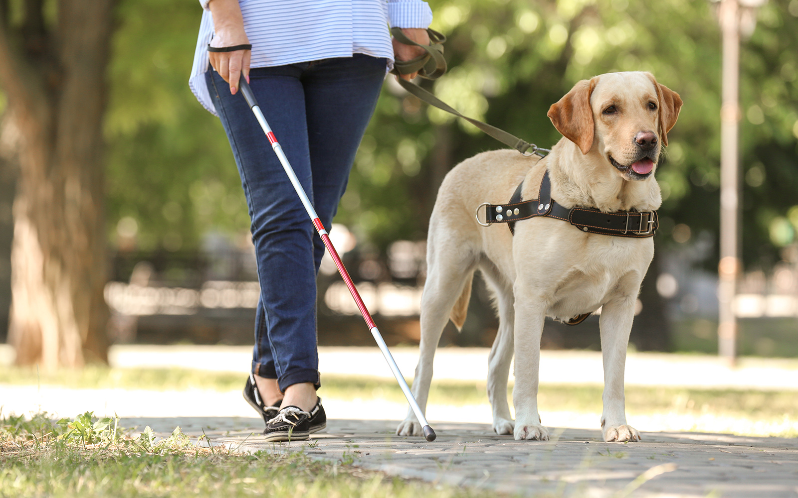 Azay-le-Rideau Tickets