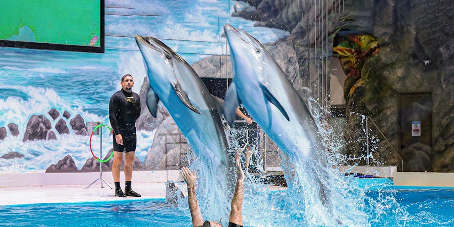 Dubai in may - dubai dolphinarium