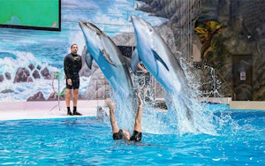 Dubai Dolphinarium: Billets