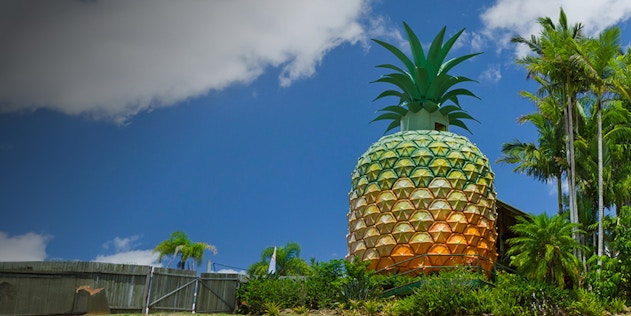 のベストを見つけよう Sunshine Coast