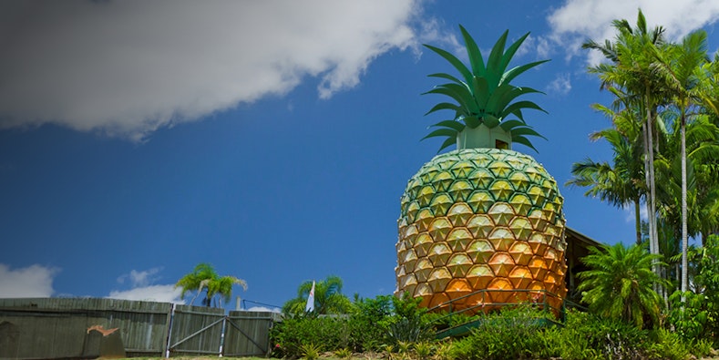 Descubre las mejores cosas que hacer en Sunshine Coast