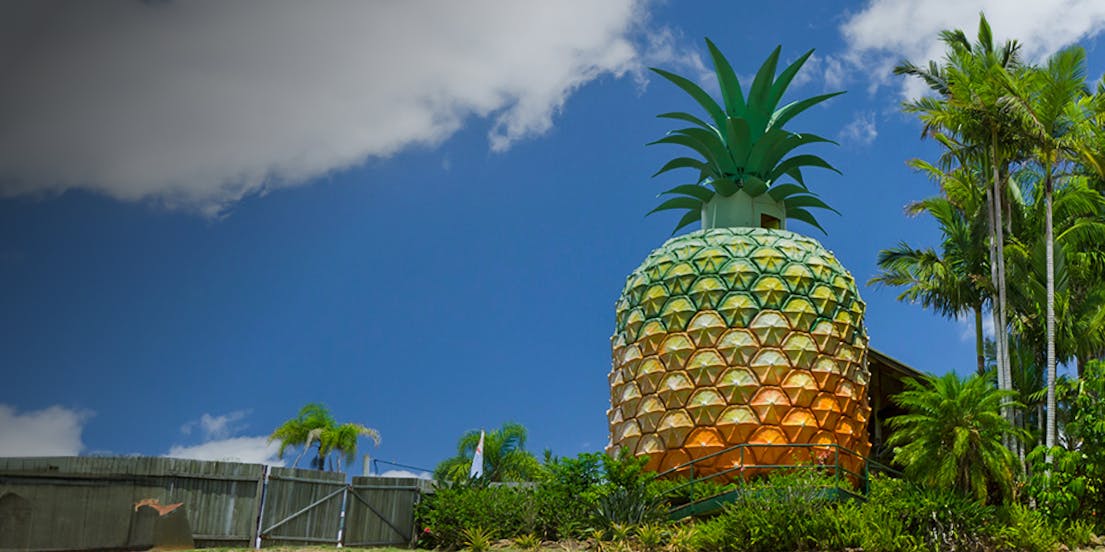 Sunshine Coast gezisinde yapılacak en iyi aktiviteleri keşfedin