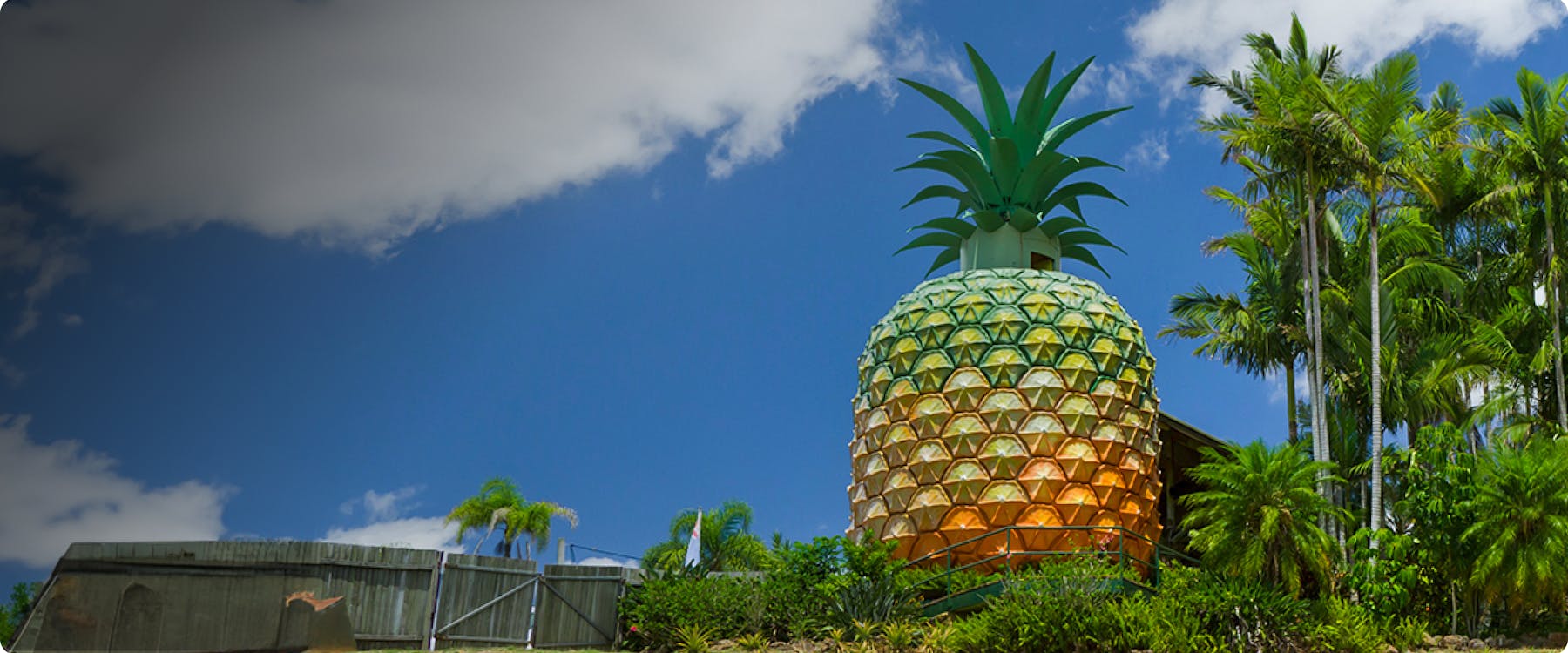 Giant pineapple sculpture at Sunshine Coast, surrounded by palm trees.
