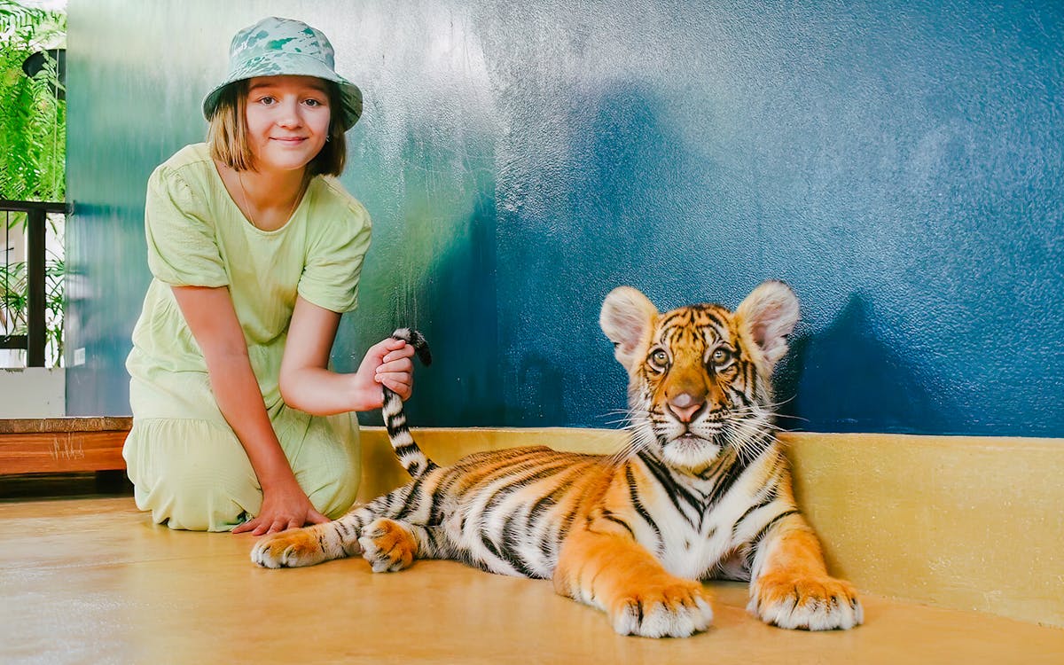 tickets to tiger park phuket-4 tickets to tiger park phuket-4