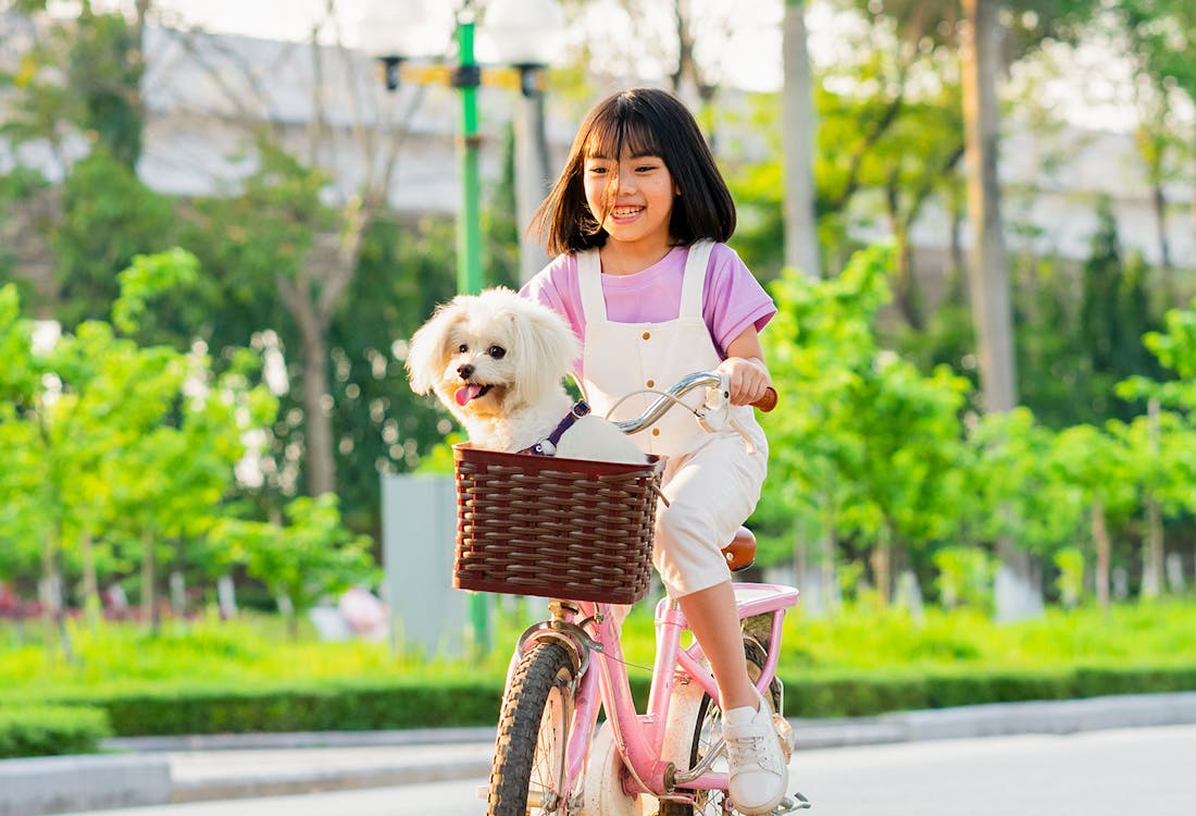 Dog and cycling girl in Korea