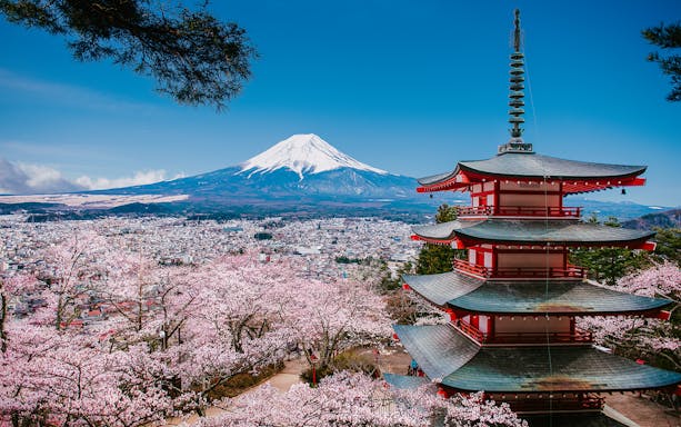 Arakurayama Sengen Park pagoda with Mount Fuji and cherry blossoms in Japan.