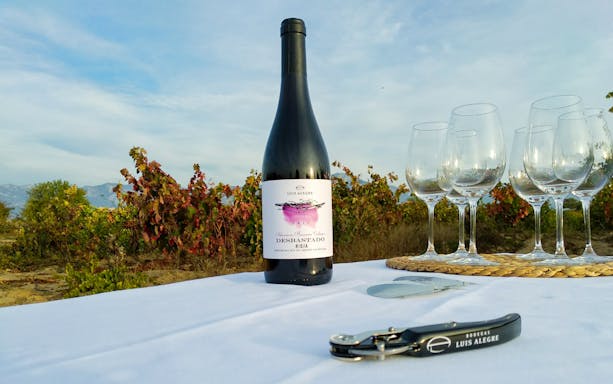 Bottle of Rioja wine with glasses set in a vineyard near Bilbao.