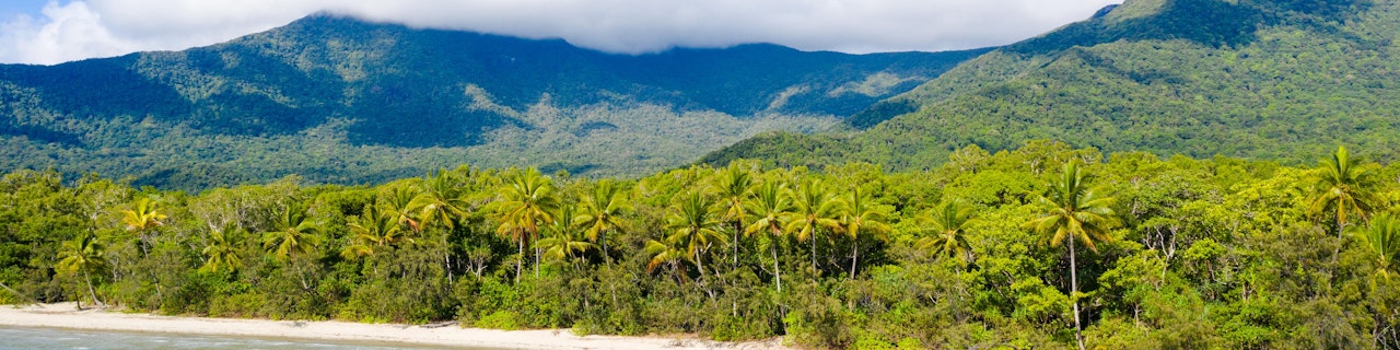 Da Cape Tribulation: Tour guidato di snorkeling ed eco tour della Grande Barriera Corallina