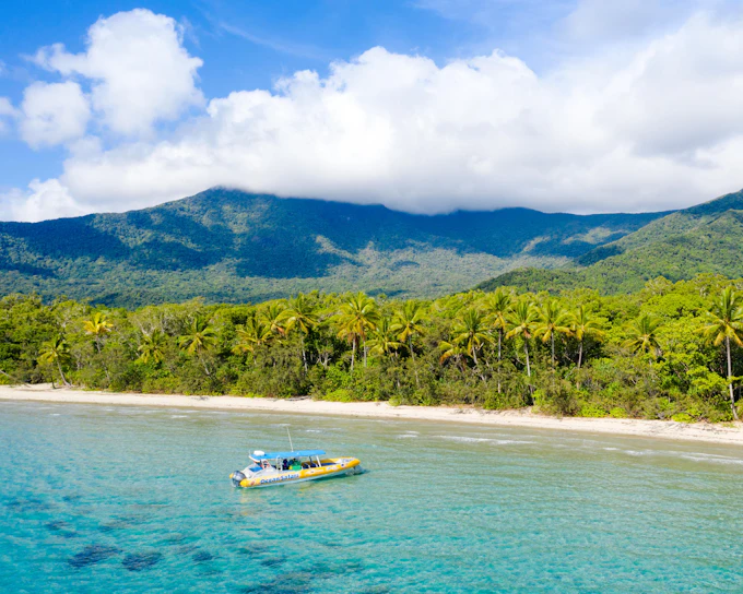 From Cape Tribulation: Great Barrier Reef Guided Snorkel & Eco Tour